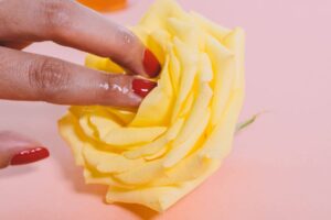 mão de mulher tocando uma flor com os dedos molhados