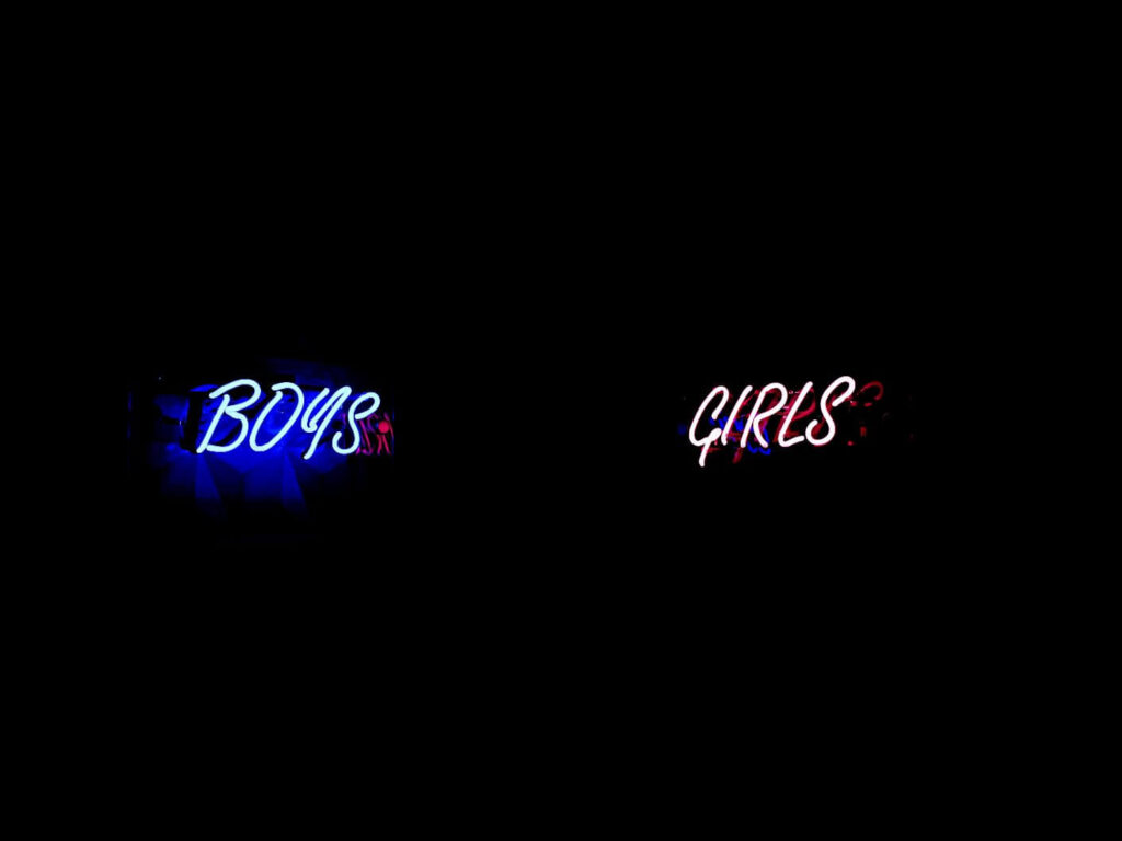 foto com o fundo todo preto onde só aparece dois letreiros de luz neon escritos boys (com a cor azul) e girls (com a cor rosa) 