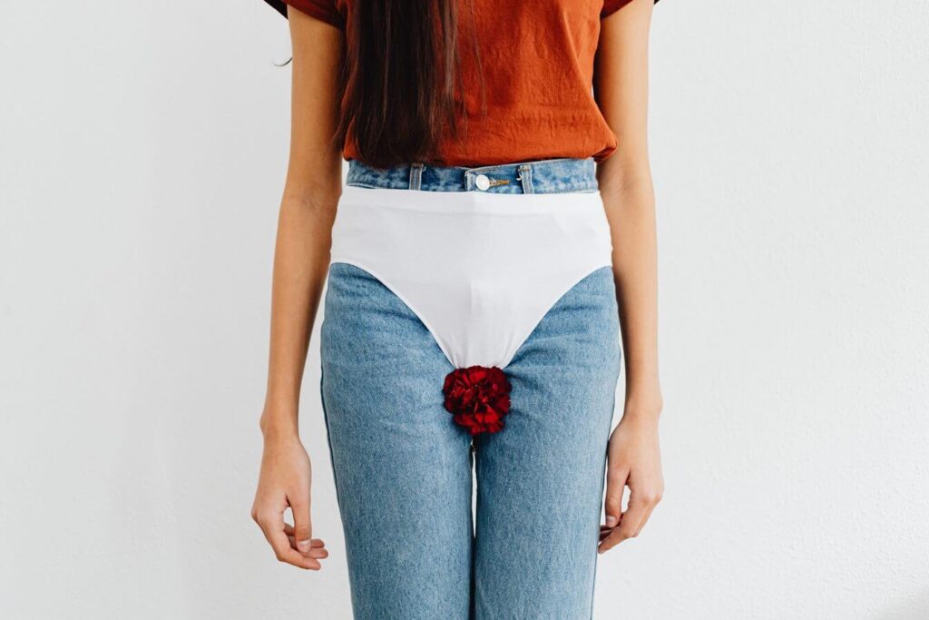 foto de uma mulher onde mostra somente o torço até o joelho. A mulher está vestindo uma blusa e calça jeans. Por cima da calça jeans ela veste uma calcinha e entre suas pernas há uma rosa vermelha.